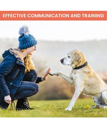 Vigorola 2 pcs Dog Whistle with Lanyard ABS Plastic Dog Training Whistles for for Recall and Pets Training(Orange + Light Green) - Buy Online on SooperMarket.com