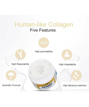 80g Collagen Beauty Cream Made with Pure Humanlike Collagen Anti Aging Face Hydrating Moisturizer City Beauty Sculpting Cream Skin Firming Cream Smooth Wrinkles And Fine Lines - Buy Online on SooperMarket.com