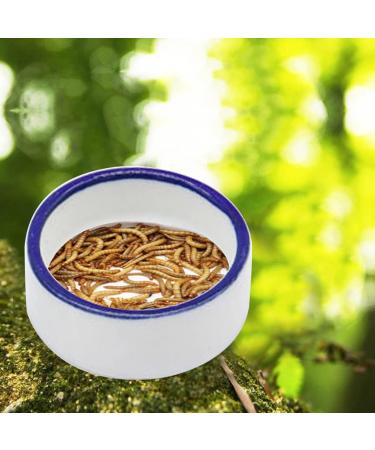Reptile Bowl Spider Water Dish Round Food Bowl Escape Proof Feeder for Small Medium Size Pet Tortoise Lizard escape proof bowls for reptiles - Buy Online on SooperMarket.com