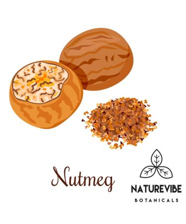 Naturevibe Botanicals Organic Nutmeg Whole 1.76oz (50gm) | Non-GMO, Gluten Free Indian Spice - Buy Online on SooperMarket.com