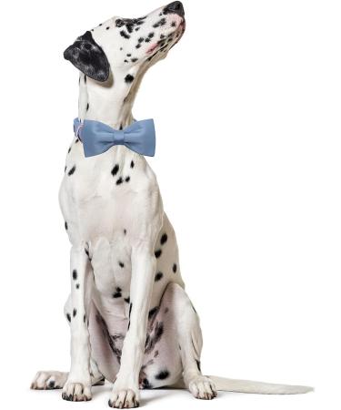 Lionet Paw's Comfortable Silk Blue Dog Collar with Removable Fly for Small Dogs - Neck 25-40cm (1 Pack) - International Shipping Available - Buy Online on SooperMarket.com