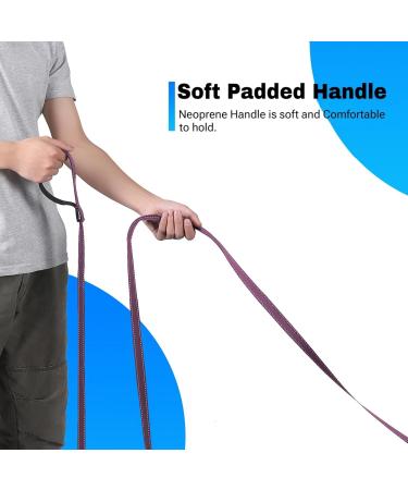 Buy Loutep Reflecting Training Dog Leash - Extra Long Nylon Rope Padded Handle Multiple Lengths for All Dog Sizes - Reflective Violet Ships Internationally - Buy Online on SooperMarket.com