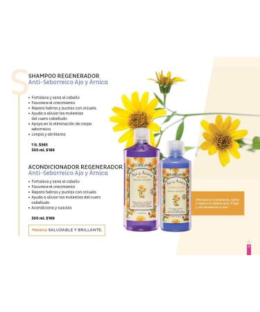 Buy Anti Dandruff & Regenerative Shampoo Ajo y rnica 1L - Florigan Purple | Fast International Shipping - Buy Online on SooperMarket.com