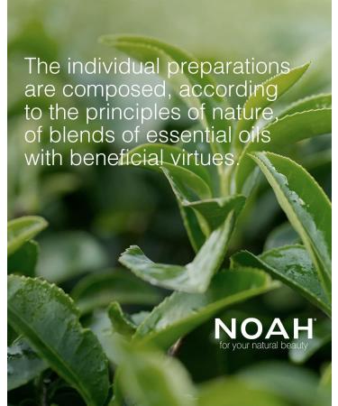 Noah Natural Hair 5.3 Restructuring Serum with Linseed Oil and Ylang-Ylang for Dry and Damaged Hair Nourishing Hydrating and Revitalising Vegetarian Cruelty-Free Plant-Based Formula 20ml - Buy Online on SooperMarket.com