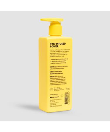 Tooletries 2-in-1 Coastal Pine Shampoo & Conditioner - Pine Scented Menthol & Caffeine Hair Wash Sulfate & Paraben Free - 10.1 oz - Buy Online on SooperMarket.com