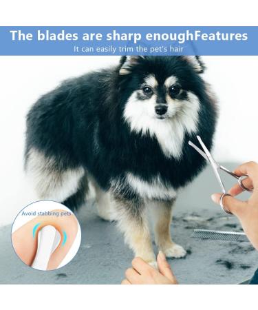 Buy Adiwo 10.5 cm Stainless Steel Dog Hair Scissors | Rounded Fur Scissors for Perfect Coat Care | International Shipping - Buy Online on SooperMarket.com