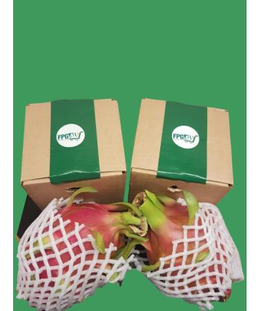 Exotic Dragon Fruit 2 Pieces 650 gm - Buy Online on SooperMarket.com