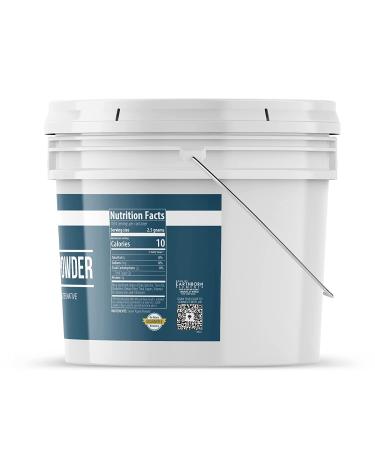 Earthborn Elements Agave Powder 1 Gallon - Natural Sugar Alternative for Drinks & Recipes - Buy Online on SooperMarket.com