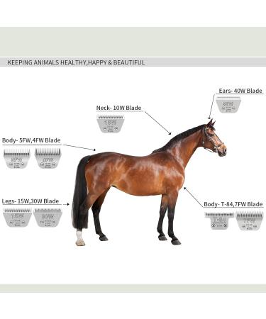 7fW Width Removable Blades for Pet Grooming | Compatible with Heiniger Moser Max45 Andis Easter A5 | 1/8 Inch (3.2 mm) Cutting Length - Buy Online on SooperMarket.com