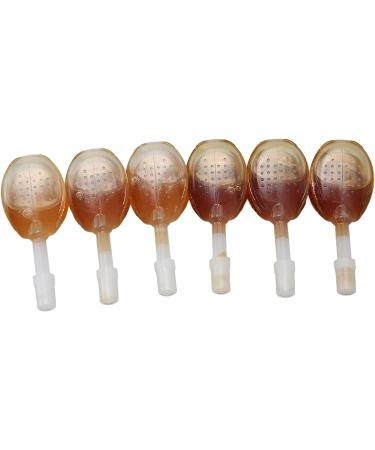 Glycerin Suppositories 6pcs 7ml - Adults Constipation Relief | Promotes Intestinal Peristalsis | Improve Constipation | With Honey - Buy Online on SooperMarket.com