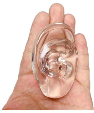 Professional Ear Model 1 Pair Artificial Practical Ear Display Simulation Fake Ear Jewelry Ear Studs Hearing Aids - Buy Online on SooperMarket.com