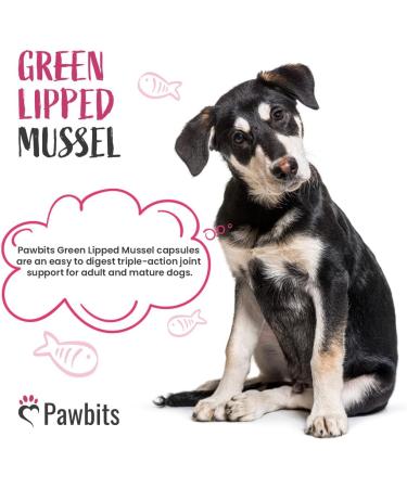 Pawbits 120 Green Lipped Mussel 500mg Hip & Joint Support Capsules for Dogs | Premium New Zealand Mussel Natural Dog Supplements | UK Made - Buy Online on SooperMarket.com