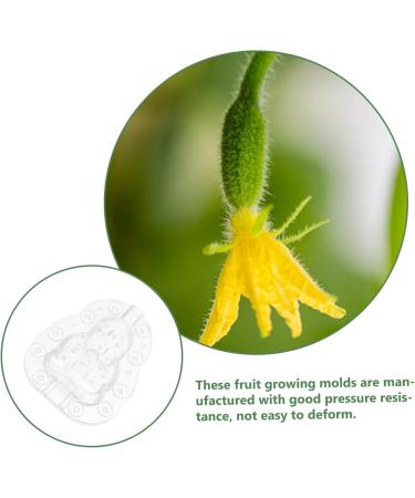 SUPVOX 9 pcs Gardening DIY Moldvegetable for Pear Shaped Multifunction Growing Accessories Mould - Buy Online on SooperMarket.com