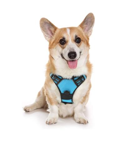 Rabbitgoo dog harness medium -sized dogs anti train crockery dog with control no pull adjustable dog dishes large dogs breathable reflex stripes breast harness dog safe guide light blue m (1 Pack) light blue