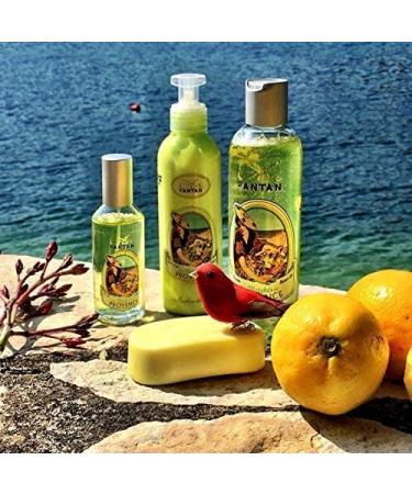 Un Air d'Antan French Soaps | Mother's Day Gifts for Mom | Natural Rose & Verbena Soap Gift Set | Luxurious Bar Soap for Women - Buy Online on SooperMarket.com