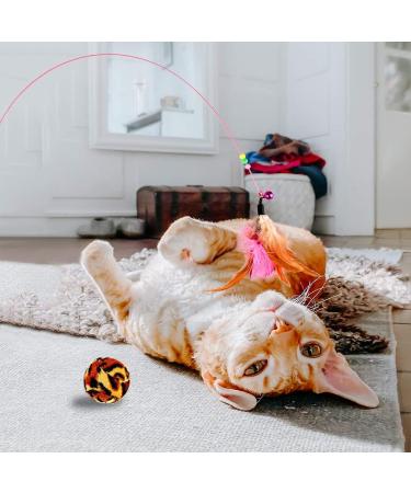 GOLDGE Cat Toys Kitten Toys for Indoor 16 Pcs Cat Interactive Toys Includes Cats Catnip Balls Mice Feathers Wand Toys Set Gift for Cat and Kitty - Buy Online on SooperMarket.com