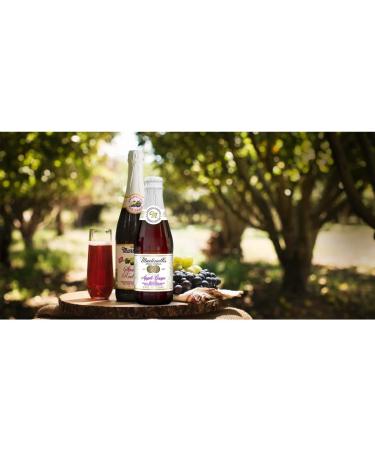 Martinelli's Sparkling Red Grape Juice 8.4 oz. - Pack of 12 Bottles | Non-Alcoholic Beverage - Buy Online on SooperMarket.com