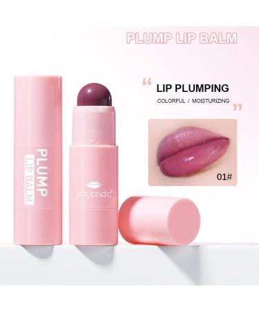 VigCebit Lip Plump Balm | 4 Colors Lip Gloss - Natural Moisture Serum for Fuller Lips | Day & Night Lip Care - Buy Online on SooperMarket.com