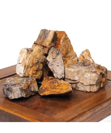 Amtra Petrified Rock Medium 720 gm multicolored Medium 720 gm