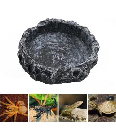 hisunfarm 2 Pcs Reptile Pets Water Dish Worm Rock Bowl Feeder with Feeding Clip for Turtle Gecko Lizard Spider Scorpion Chameleon Small - Buy Online on SooperMarket.com