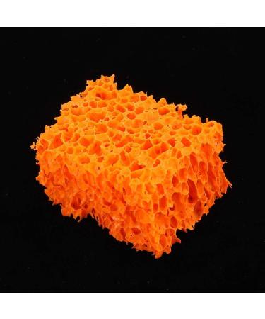 Stipple Sponge Professional Special Effect Makeup Blood Scar FX Blood Scar Stubble Effect Wound Makeup Stipple Sponge for Halloween Xmas(Large Hole) - Buy Online on SooperMarket.com