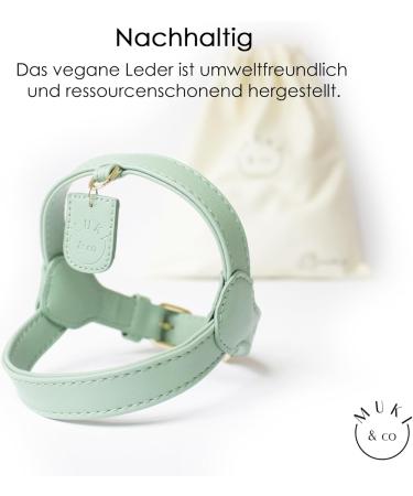 Muki & Co Double Dog Dishes - Adjustable Mint Green - Safe & Comfortable for Extra Small Small & Medium Dogs (Size S 38-45 cm) - Buy Online on SooperMarket.com