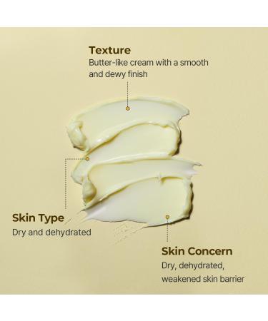 TORRIDEN SOLID-IN Ceramide Cream 2.4 fl oz | Vegan Fragrance-Free Moisturizer for Healthy Skin Barrier | Nourishing Korean Skin Care | Cruelty-Free & Alcohol-Free - Buy Online on SooperMarket.com