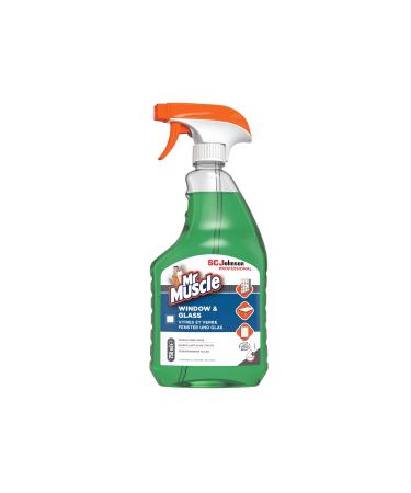 JOHNSON MR MUSCLE WINDOW & GLASS CLEANER 750ML