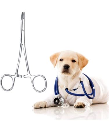 Hemostat Zonge Stainless Steel Pet Ear Cleaning Scissors - Curved Pointed Anti-Slide Tool for Dogs & Cats - Buy Online on SooperMarket.com