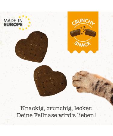 Gimcat Crunchy Snacks with Catnip - Protein-Rich Duck Delicacies No Added Sugar - 50g Bag for Cats - Buy Online on SooperMarket.com