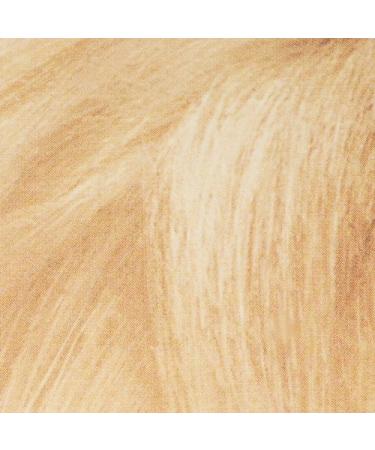 L'Oreal Paris Super Blonde Creme Lightening Kit - 200 Bleach Blonde - Buy Online on SooperMarket.com
