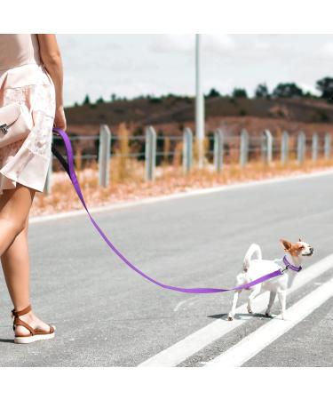 Buy Tagme Personalized Purple Dog Collar for Small Dogs | Embroidered Reflective Nylon with Pet Name & Phone Number - International Shipping Available - Buy Online on SooperMarket.com