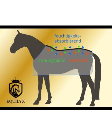 Equilyx Sweat Ceiling Horse Blanket | Perfect Fit Fleece | Moisture Absorbing Breathable Warming Transport Blanket (Black 145) - Buy Online on SooperMarket.com