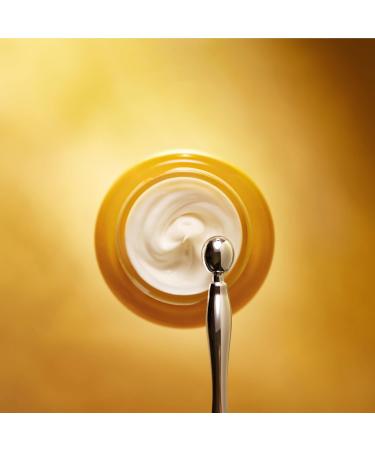 L'OCCITANE Immortelle Divine Cream 50 ml | Vegan & 93% Readily Biodegradable | Natural Alternative to Retinol | Luxury & Clean Beauty Anti-Ageing Moisturizer For All Skin Types - Buy Online on SooperMarket.com