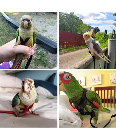 Vreplrse Adjustable Bird Flight Dishes & Easy-to-Wear Parrot Leash - Perfect Gift for Parrot Owners | International Shipping - Buy Online on SooperMarket.com
