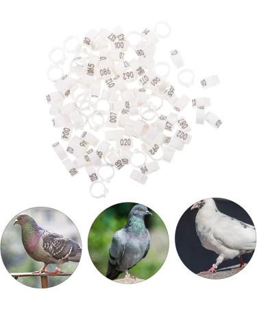 Yardwe 300 Pcs Pigeon Anklet Chicken Drumsticks Tag Plastic Foot Ring for Pigeon Poultry Pen Parrot Baby 1.3X1.3CMx3pcs Whitex3pcs - Buy Online on SooperMarket.com