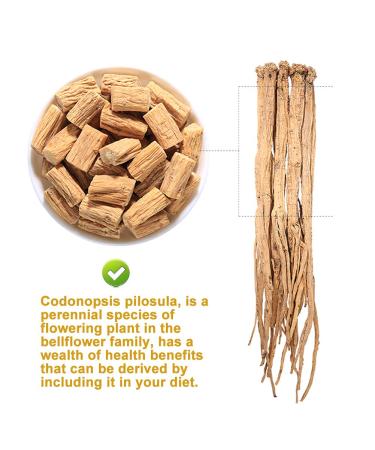 Buy Radix Codonopsis 150g - Premium Dried Dang Shen Root Herbal Tea for Vitality | International Shipping - Buy Online on SooperMarket.com
