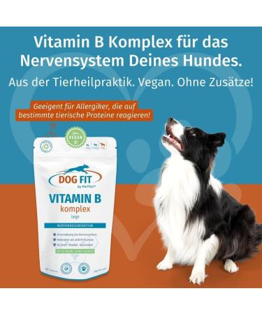Dog Fit by Prethis - Vegan B Vitamin Complex for Dogs | Nerve Strengthening Incontinence & Nervousness Support | Large Animals (25kg+) - Buy Online on SooperMarket.com