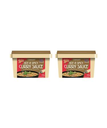 Goldfish Chinese Takeaway Curry Sauce Paste Concentrate 405g Hot and Spicy (Pack of 2) by CNMART