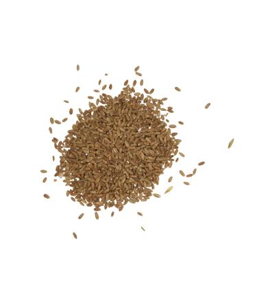 Royal Lee Organics Organic Hard Red Wheat Berries - 10 lb Bag - Buy Online on SooperMarket.com