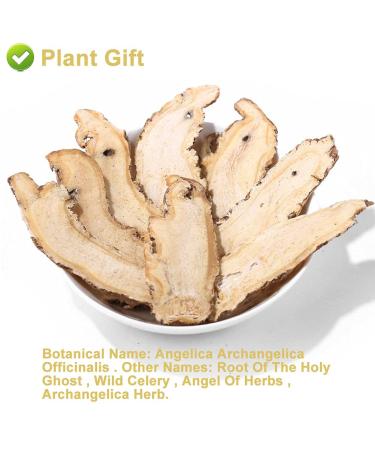 Buy Organic Angelica Root 70g - Dried Cut Root & Tea | Premium Archangelica Officinalis for Herbal Remedies - International Shipping - Buy Online on SooperMarket.com