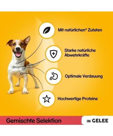 Buy Pedigree Multipack - 4 Flavor Mixed Selection in Jelly (2x12x100g) | Chicken Beef Lamb & Poultry | 2.4KG (1 Pack) - International Shipping Available - Buy Online on SooperMarket.com