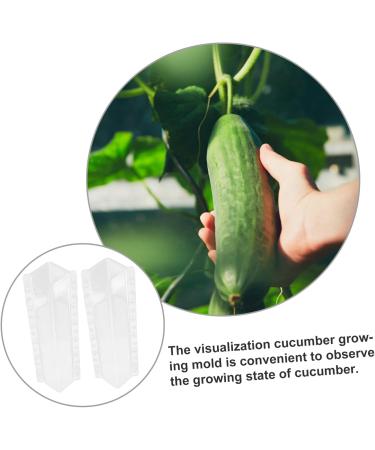 SUPVOX Cucumber Shaping Molds 2pcs Kit Stereotypes Snow DIY Forming for Rectangle Former Shaped Supplies Plastic Growing - Buy Online on SooperMarket.com