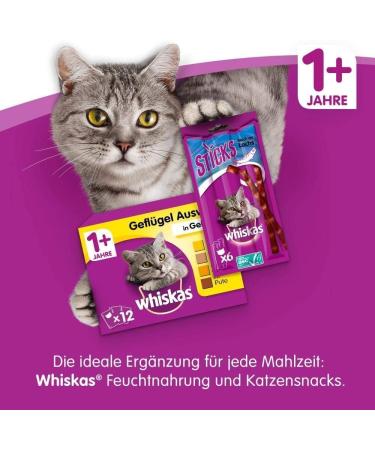 Whiskas Dry Adult 1 + with Chicken 1 9 Kg - Buy Online on SooperMarket.com