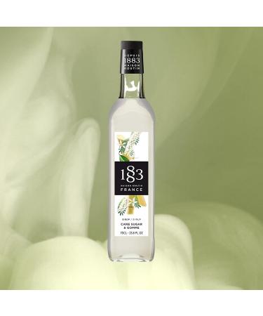1883 Maison Routin Premium Cane Sugar & Gomme Syrup 700ml - Ideal for Cocktails, Mocktails, Coffee & Iced Tea - Pack of 1 - Buy Online on SooperMarket.com