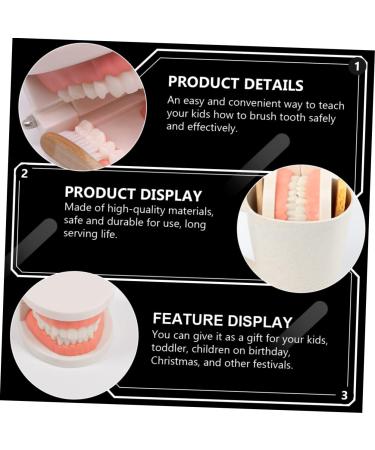 Buy Beavorty Learning Toothbrush Toys for Early Teething | Pedagogical Tooth Cleaning Model for Preschool - Buy Online on SooperMarket.com