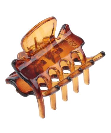 Fityle 12-Piece Resin Mini Hair Clip Set - Trendy Hair Grippers & Claws | Stylish Hair Accessories in Coffee Color for All Hair Types - Buy Online on SooperMarket.com