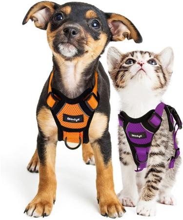 Breakproof Cat Leash Set & Adjustable Soft Kitten Vest - Reflective Stripes | Orange Small Dishes for Kittens - Buy Online on SooperMarket.com
