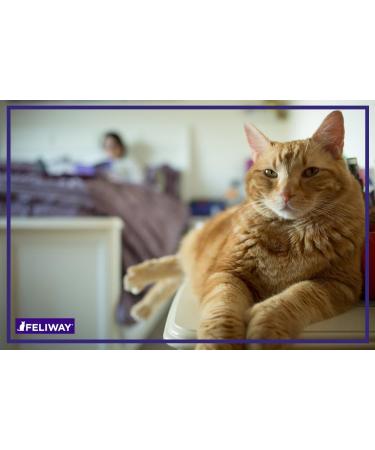 FELIWAY CLASSIC Diffuser Refill 3-Pack - Use with FELIWAY Cat Diffusers - Comforts Cats at Home & Helps Control Unwanted Urine Spraying Cat Scratching and Hiding (90 Day Supply FELIWAY Refill C238) - Buy Online on SooperMarket.com