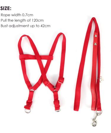 Felenny Bird Dishes & Adjustable Leash - Essential Outdoor Accessories for Scarlet Red Ara Sun Conure & Nymphensittich - Small Anti-Bite Solutions - Buy Online on SooperMarket.com